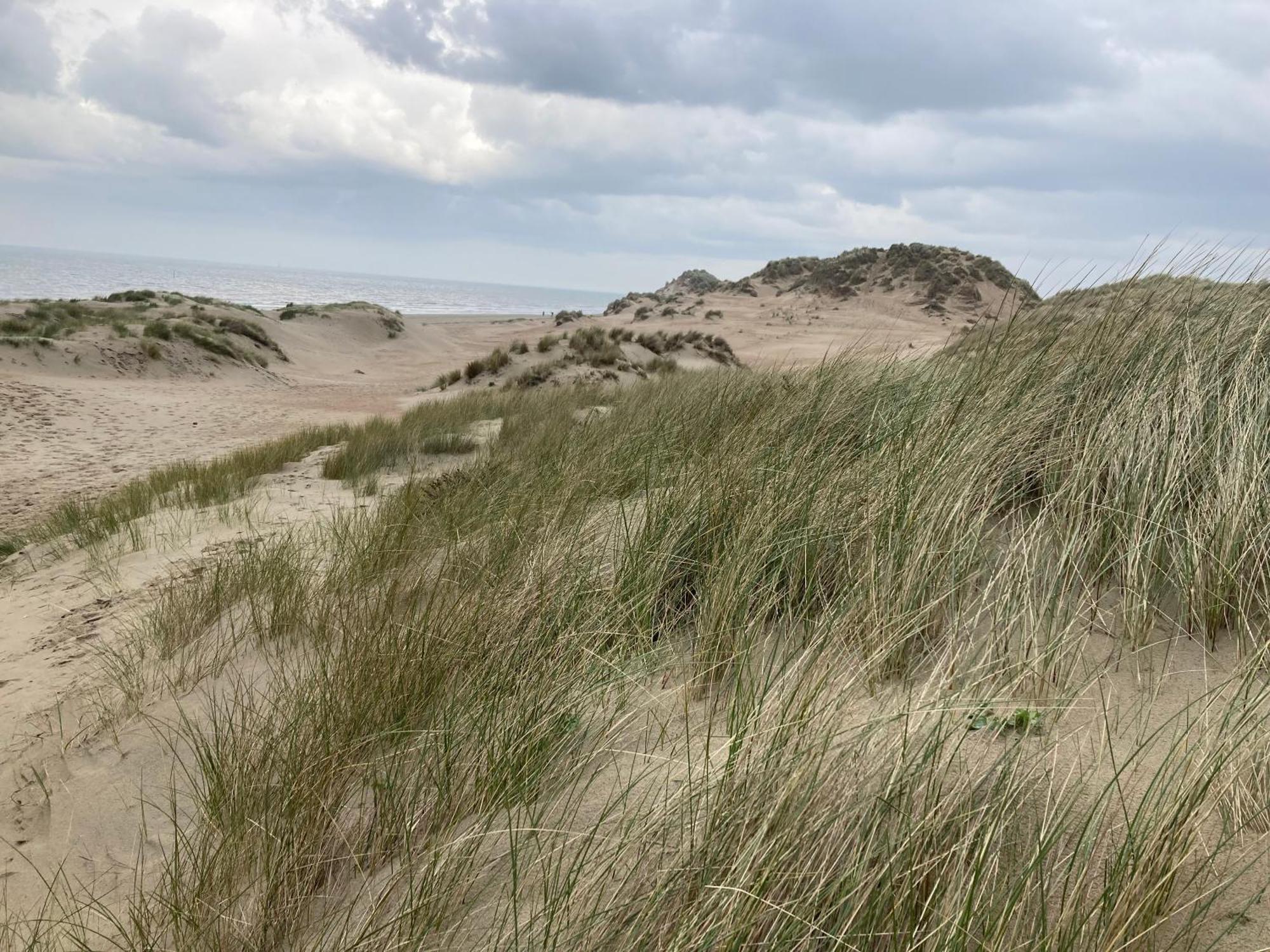 Terduinen Villa Oostduinkerke Bagian luar foto